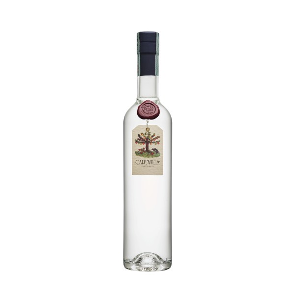 Grappa di Cabernet Sauvignon