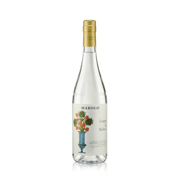 Grappa di Barbera astucciata