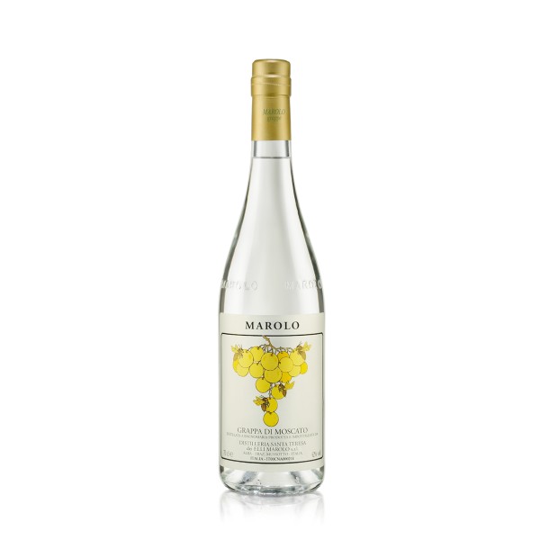 Grappa di Moscato astucciata