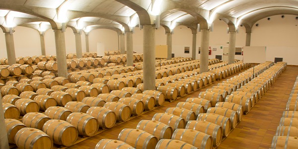 Donnafugata: i prossimi appuntamenti con i vini di Sicilia della famiglia Rallo